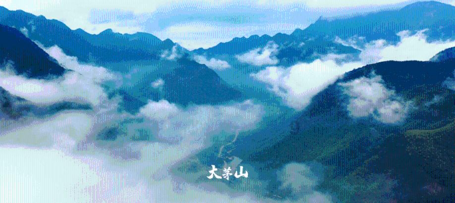 {{问答文章1}}游戏画面